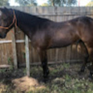 Meet your Posher, Kristine